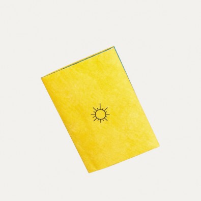 Обложка на паспорт NEW WALLET SUN